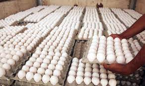 La presente crisis del huevo provoca pérdidas por mil millones pesos.