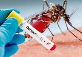 Muere otro niño infectado de dengue