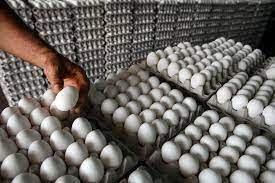 El Presidente Abinader  ordena la venta de cartones de huevos a precio popular a 100 pesos el carton