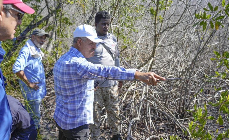 Biólogos y técnicos de Medio Ambiente y un equipo de profesionales del área, evalúan manglar afectado en Las Terrenas
