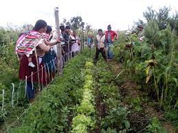 Sistemas agroalimentarios sostenibles, equitativos e inclusivos una seguridad alimentaria para el mundo sistemas 2