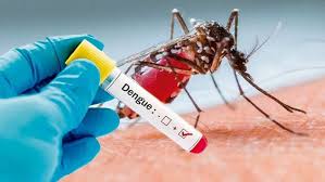 ONUSANA puede contribuir con la prevención del  Dengue images 2024 04 09T002941