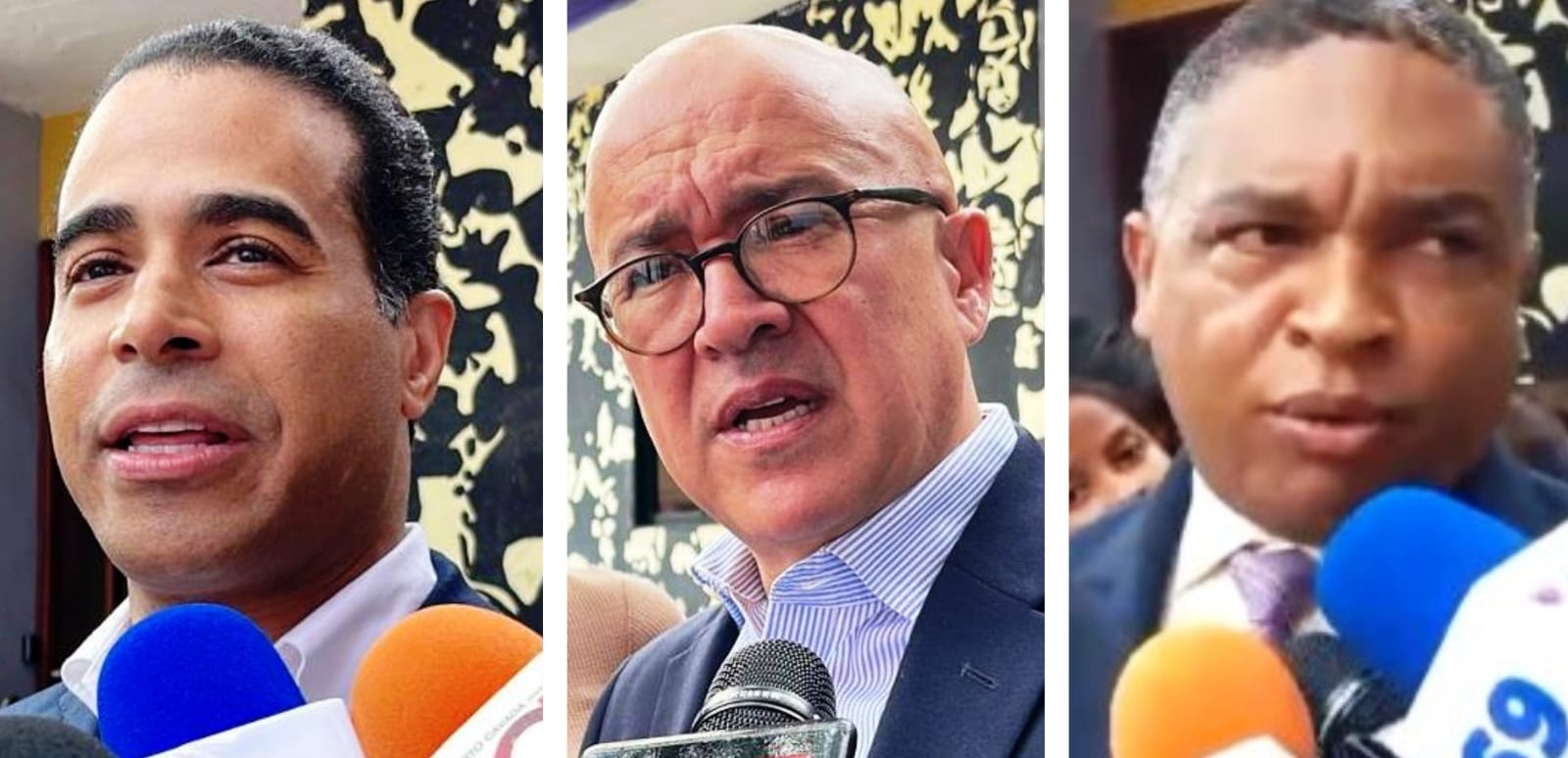 Dar continuidad a la renovación partidaria