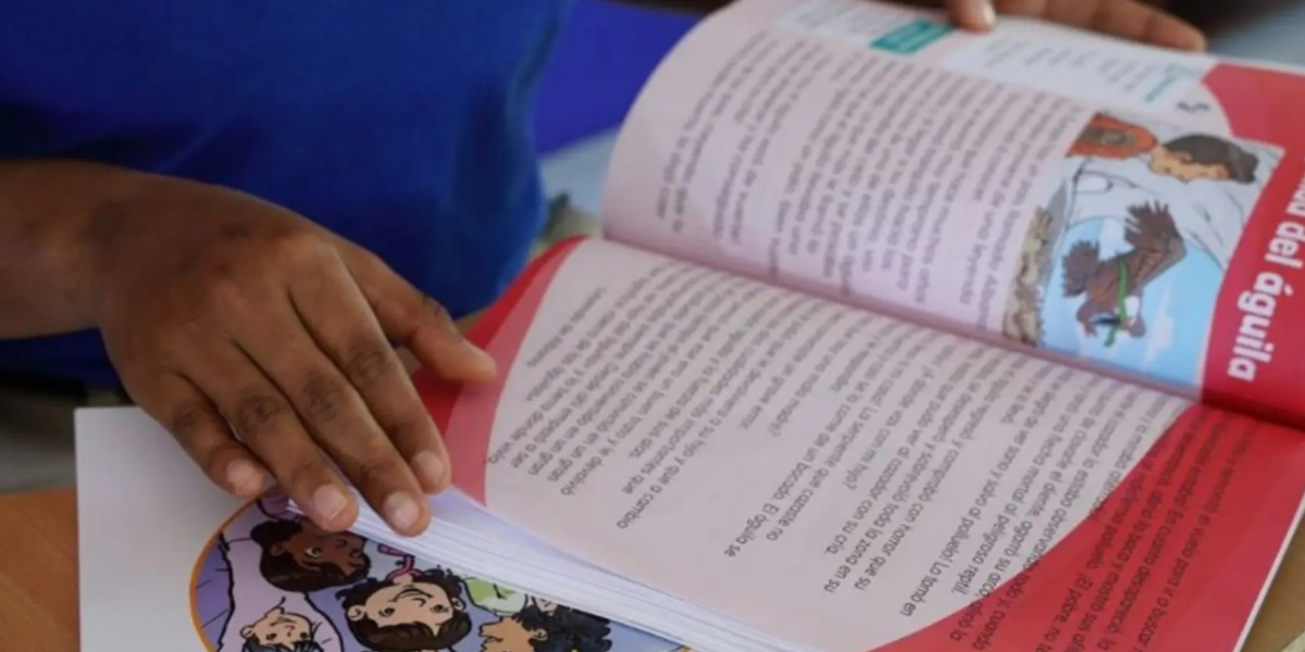 Ministerio de Educación distribuyó más de 12 millones de libros