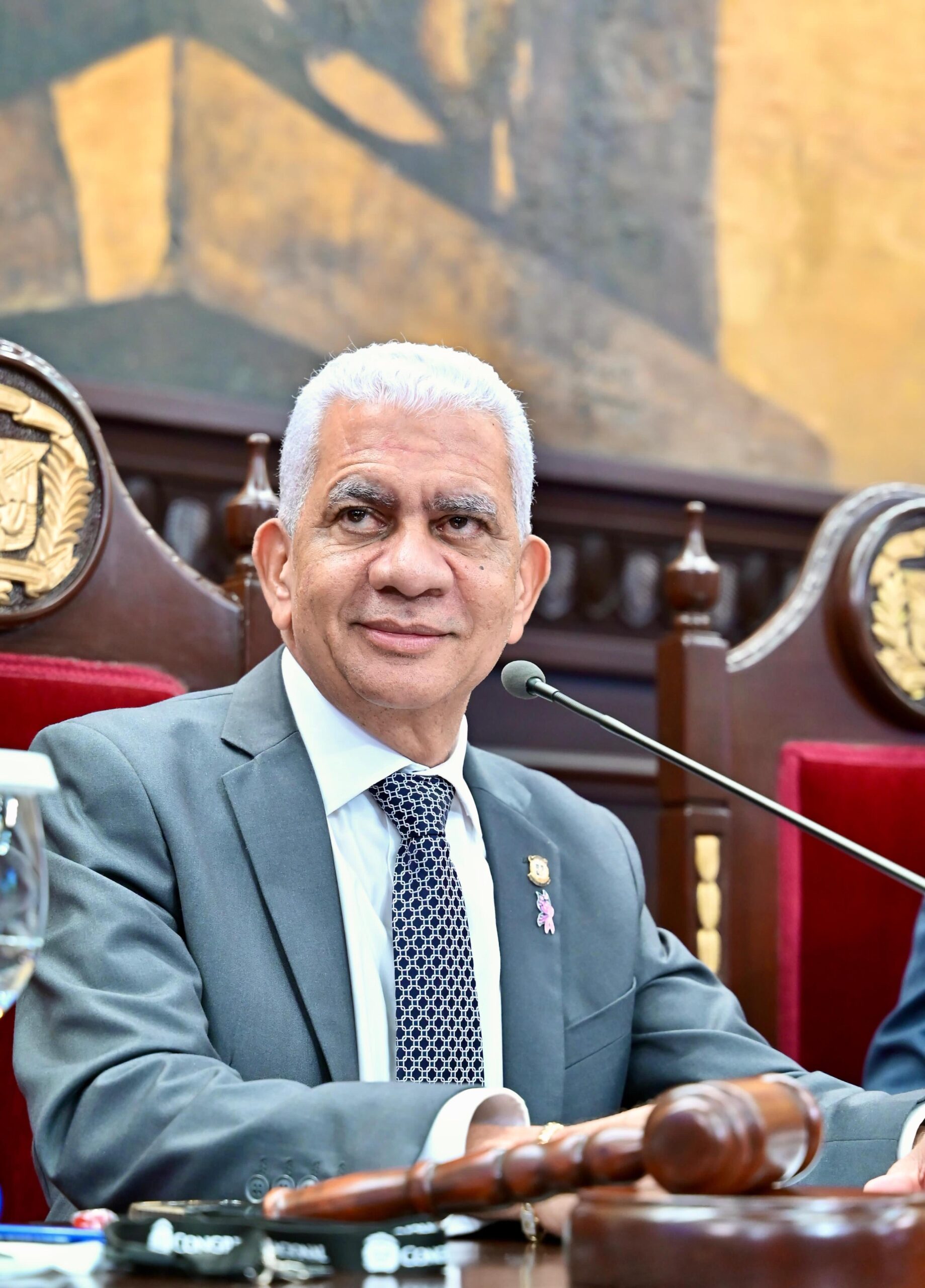 El presidente del Senado da la bienvenida a la nueva embajadora de los Estados Unidos en la República Dominicana